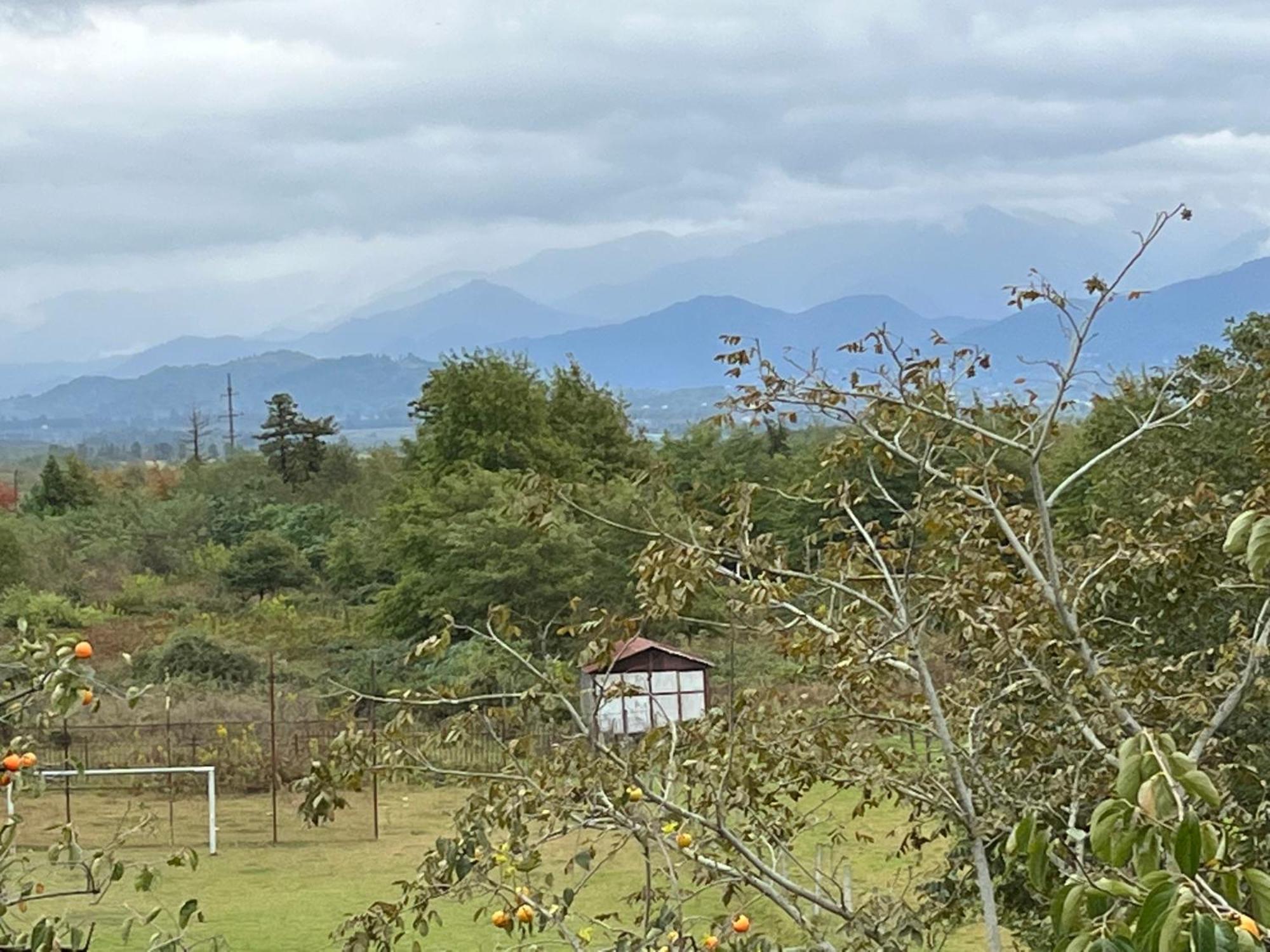 ホテル Ok House! コブレチ エクステリア 写真